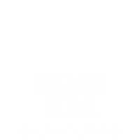 Tatawa Sticker by Dragon Dive Komodo