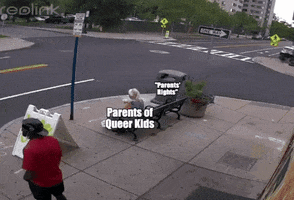 Meme gif. Garbage truck pulls up to a corner, on which is a large trash can positioned next to a bench on which an older woman is sitting. The truck's removal machine reaches out to grab the trash can but accidentally catches on to the bench, throwing the bench around and tossing the woman onto the ground. The truck is labeled "Republicans," the garbage can is labeled "'Parents' rights,'" and the woman is labeled "parents of queer kids."
