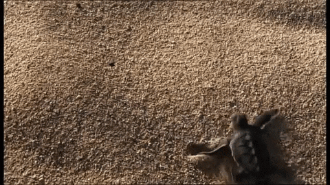 day earth GIF