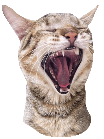 Scream Yawn Sticker by ogato_design