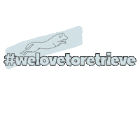 Labrador Dummy Sticker by DER HUND - das Magazin