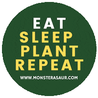 Plant Garden Sticker by Monsterasaur