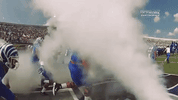 College Sports Sport GIF by University of Memphis