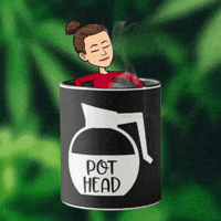 Wake Up Coffee GIF by Jennifer Accomando