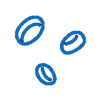 Ipaw Sticker by PPTA Global