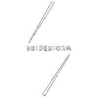 Fashion Design Sticker by bridestorm