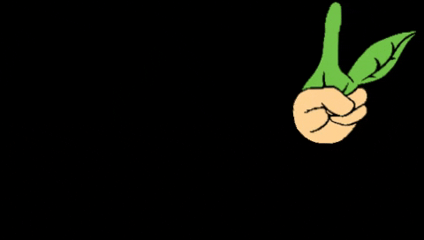 RollitoVegano giphygifmaker rollito vegano GIF