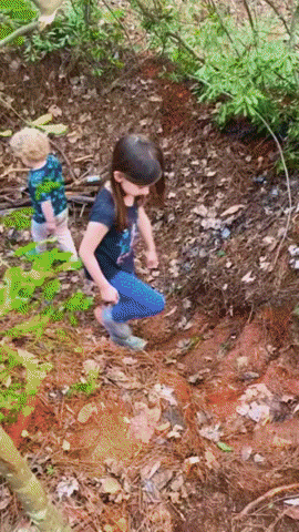 pmhyde giphygifmaker kids outdoors outside GIF