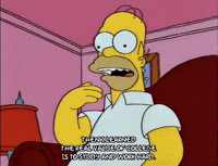 homer simpson episode 3 GIF