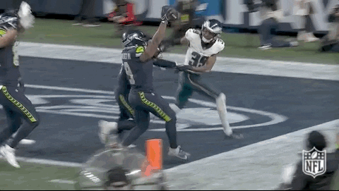 National Football League GIF by NFL