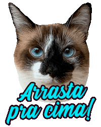 romeuemalelo cat cats gato gatos Sticker