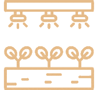 Plant Sticker by Kick Point