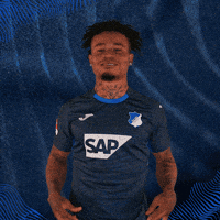 Sport Bundesliga GIF by TSG Hoffenheim