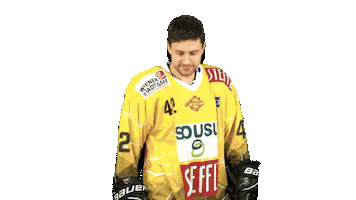 Hockey Yes Sticker by Vienna Capitals