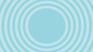 france win GIF by Molang.Official