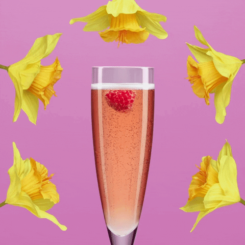 chambord; chambord channel; chambord recipes GIF