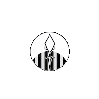 Logo Sticker by Salanora
