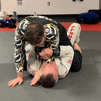Ufc Grappling GIF