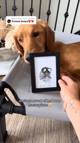 crshdprod giphyupload GIF