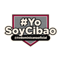 Baseball Republicadominicana Sticker by Television Dominicana