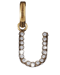 charms burberryjewellery Sticker by Burberry