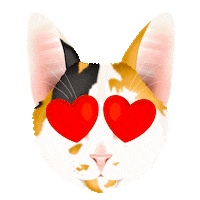 In Love Heart Eyes Sticker by zoopeez