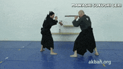 martial arts fight GIF by AKBAN Academy