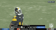 Pittsburgh Steelers Football GIF by NFL
