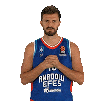 Basketball Sticker by Anadolu Efes SK