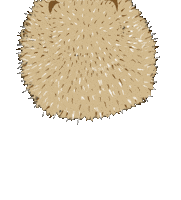 Pet Hedgehog Sticker