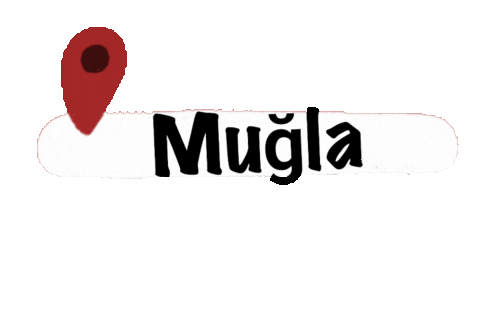 Mnks Iller 2 Sticker