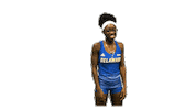 College Sports Ncaa Sticker by Delaware Blue Hens