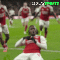 Premier League Yes GIF by Play Sports