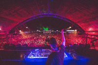 tiesto live GIF by Tiësto