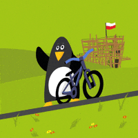 Bike Park Penguin GIF by Grupa Pingwina