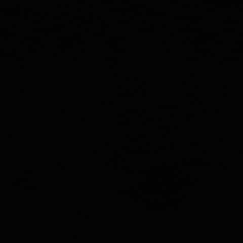 Vasco Da Gama GIF