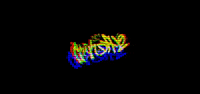 H13NrV artsy monika 2012beach h13nrv GIF