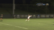 nku nkunorse GIF by Northern Kentucky University Athletics