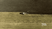 field farm GIF by CBC