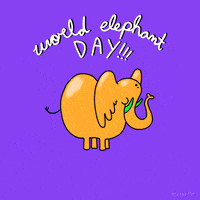 artists on tumblr fox adhd GIF by Animation Domination High-Def