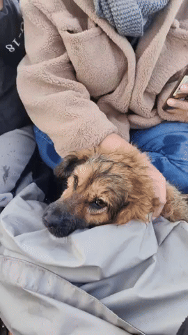 e-Kazan giphyupload GIF