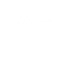 Flower Wildflower Sticker by Studio Paper