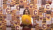 Cheer GIF by CUCougars