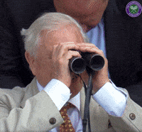 GIF by The Digital Fairy