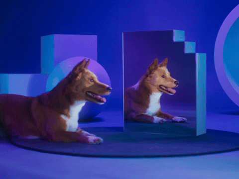 Today I Will Do My Very Best...