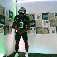 Ncaa Football GIF by USF Athletics