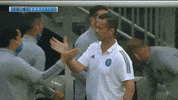 New York City Fc GIF by NYCFC