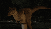 will forte fox GIF by The Last Man On Earth