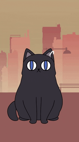 Cat Reaction GIF by Visual Smugglers