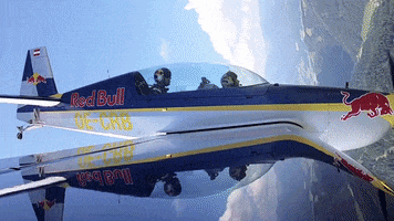redbullracing france 2019 f1 french GIF